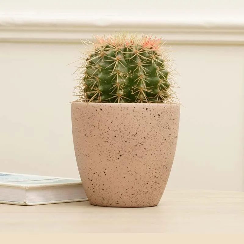 Scarlett Textured Planter - Pink media 3