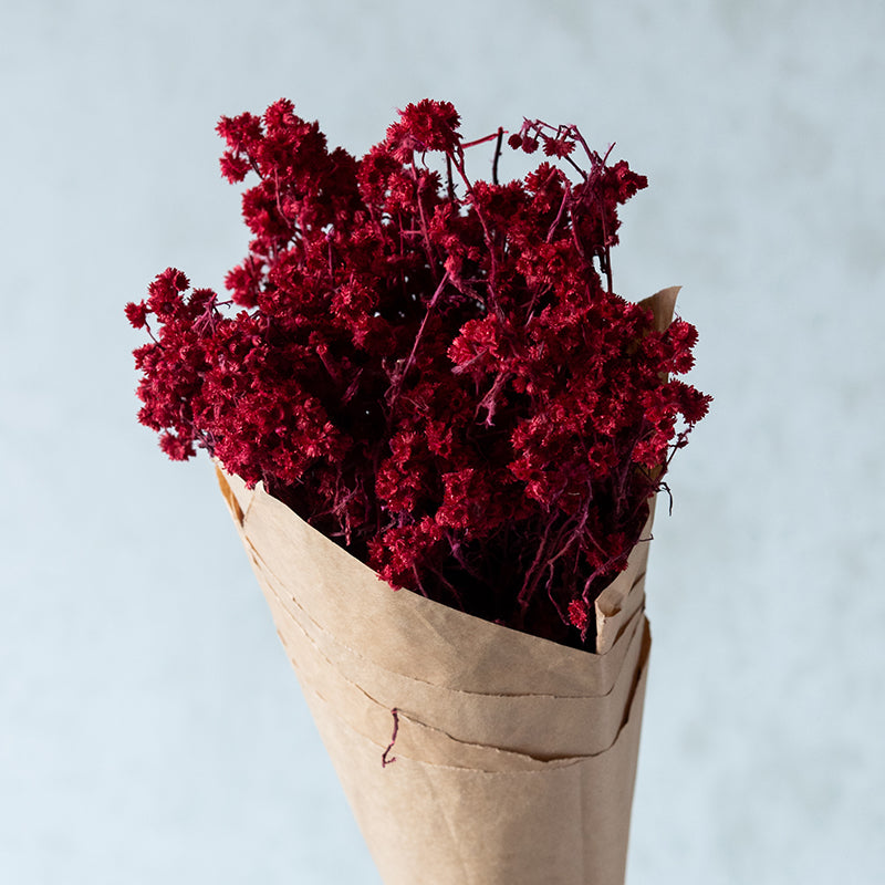 Gypsa Dried Baby's Breath Bunch - Maroon media 5