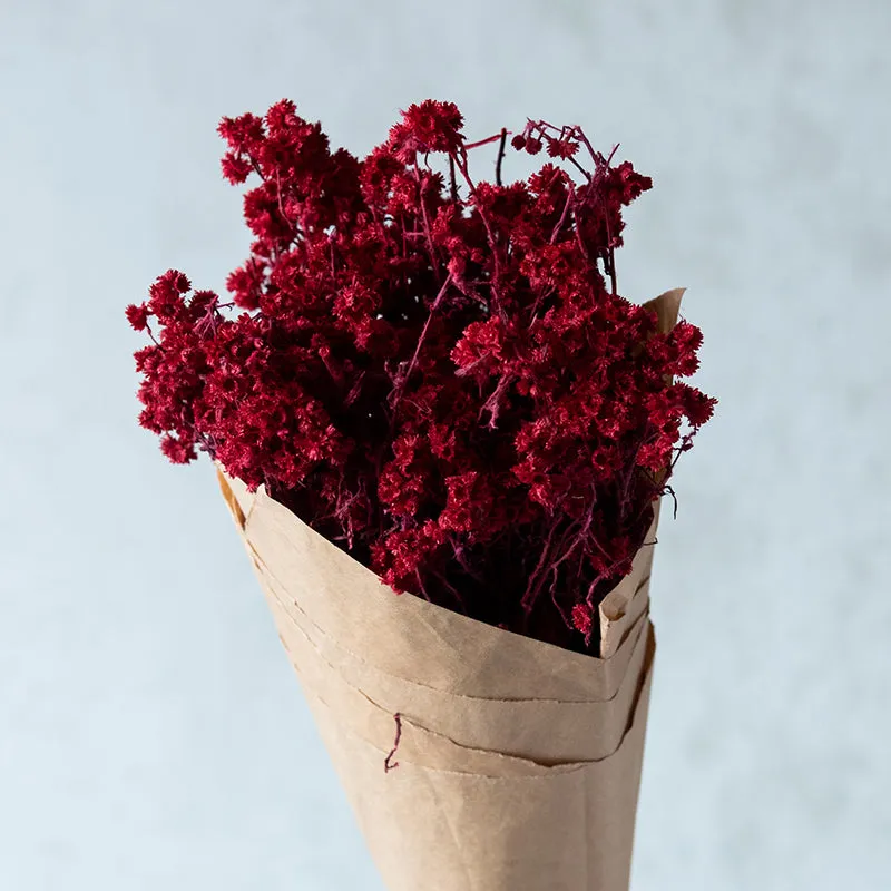 Gypsa Dried Baby's Breath Bunch - Maroon media 5