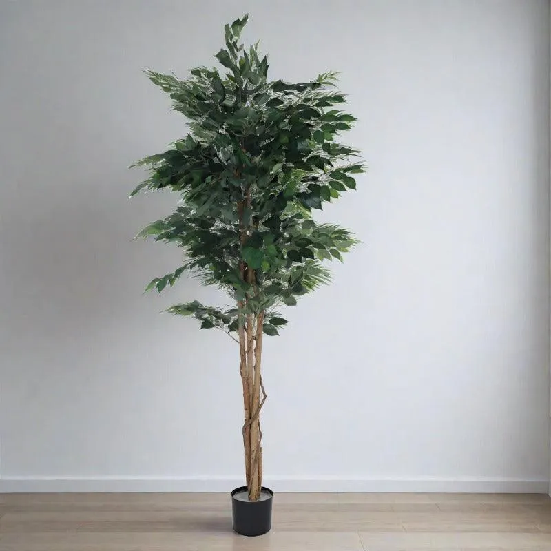 Faux Evergreen Ficus Plant With Black Plastic Pot - 5.91 ft media 3