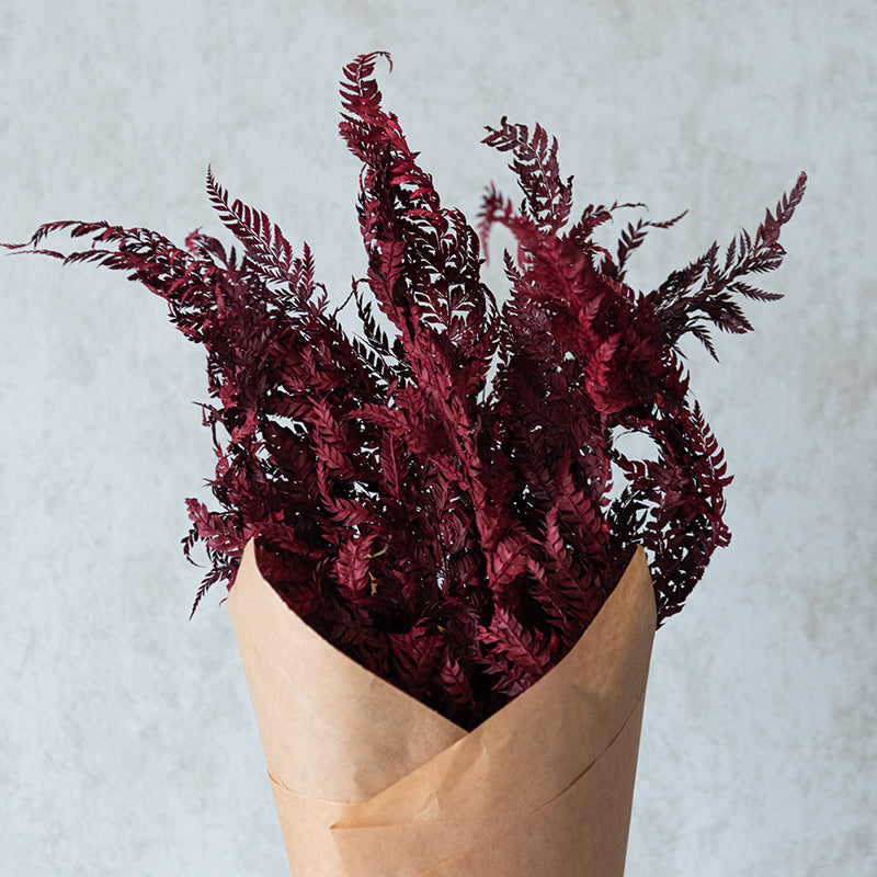 Dried Flowers & Leaves