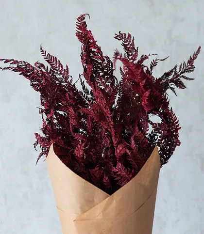Dried Flowers & Leaves