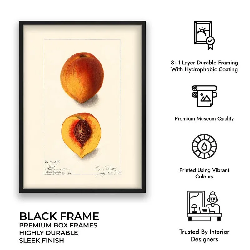 FruitAura Archival Canvas Wall Art - Black media 9