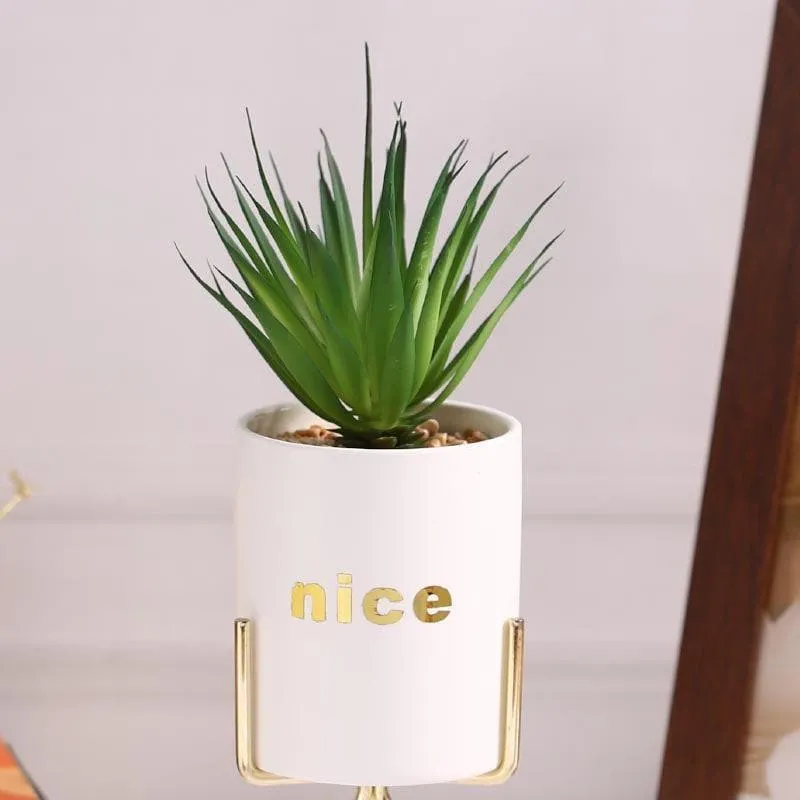 Faux Aloe Vera In White Pot With Tripod (27.5 cms) - Small media 3