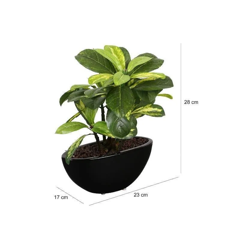 Faux Schefflera Bonsai In Bowl Pot - 29 cms media 4