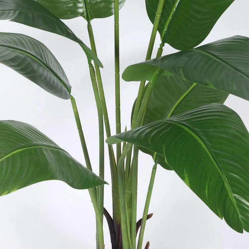 Faux Realtouch Banana Plant With Black Plastic Pot - 4.9 Feet media 6