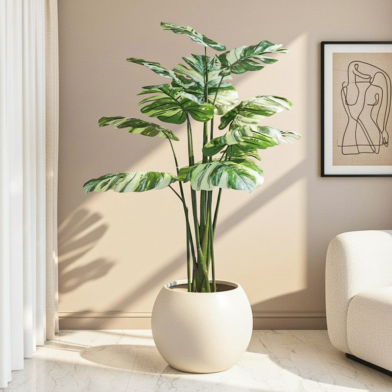 Vaiga Artificial Variegated Monstera With Black Plastic Pot - 5 Feet