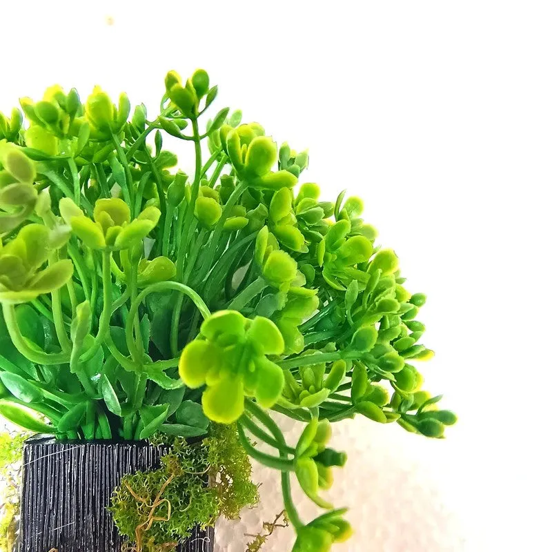 NiraPlant Wall Mount Artificial Plants - 0.8 Feet media 6