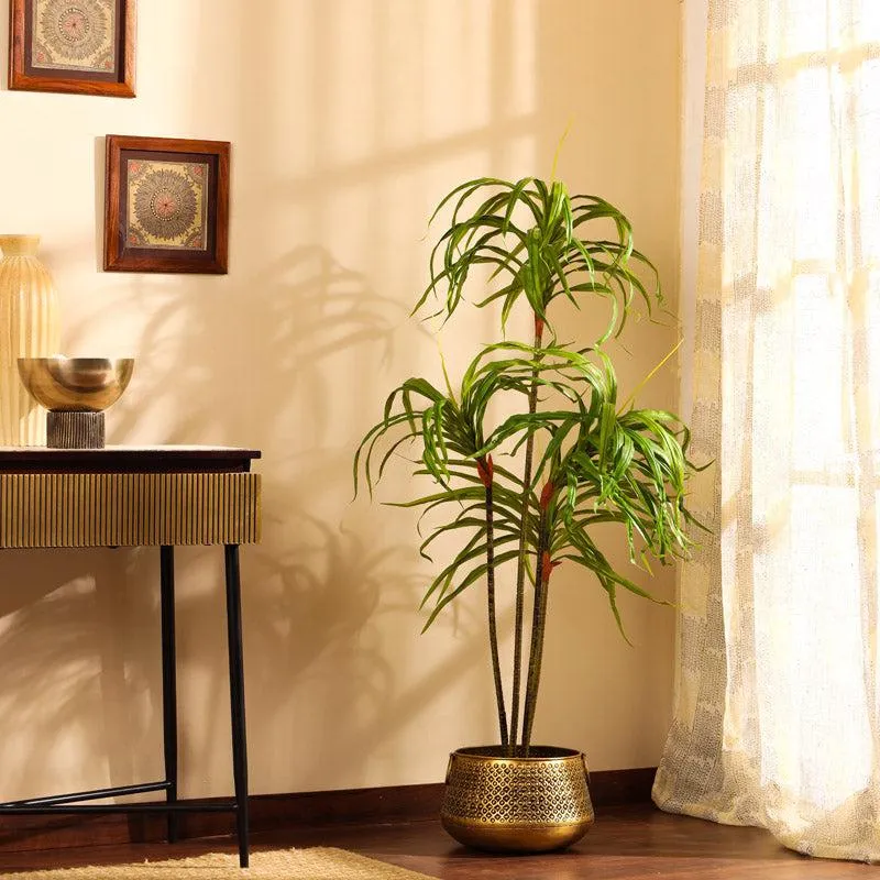 Artificial Realistic Dracaena Plant With Black Plastic Pot - 4.9 Feet media 3