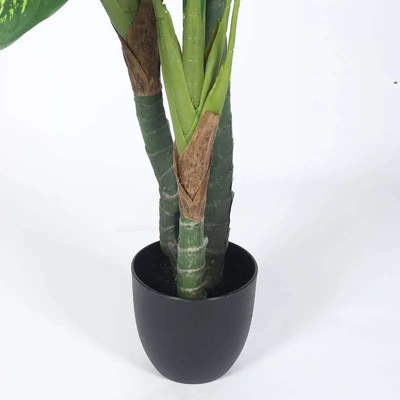 Ariadne Artificial  Dieffenbachia  With Black Plastic Pot - 5.3 Feet media 5