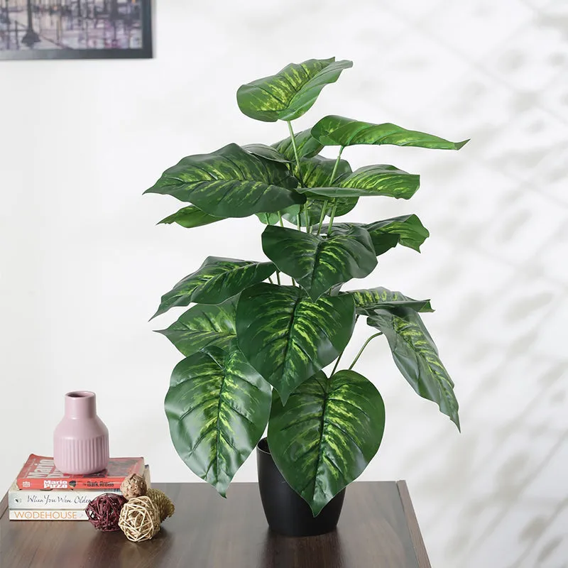 Faux Tropic Leopard Lily With Black Plastic Pot - 2.13 ft media 3