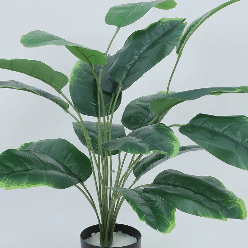 Viridia Artificial Banana Plant With Black Plastic Pot - 2.5 Feet media 5