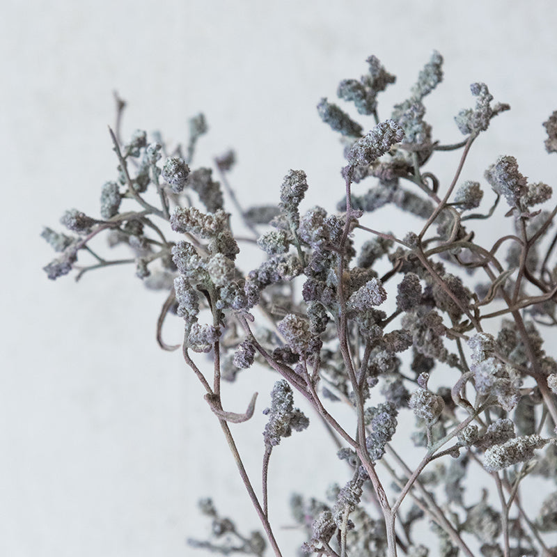 Ariel Dried Statice Flower Bunch - Grey media 5