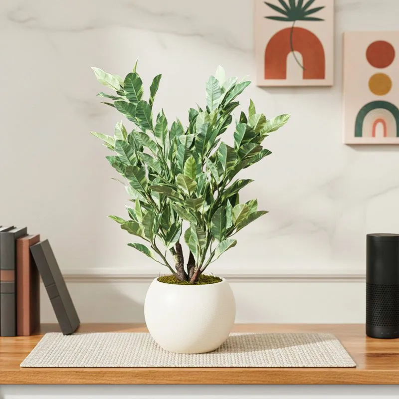 Artificial Quercus Plant Without Pot - 2.2 Feet media 1