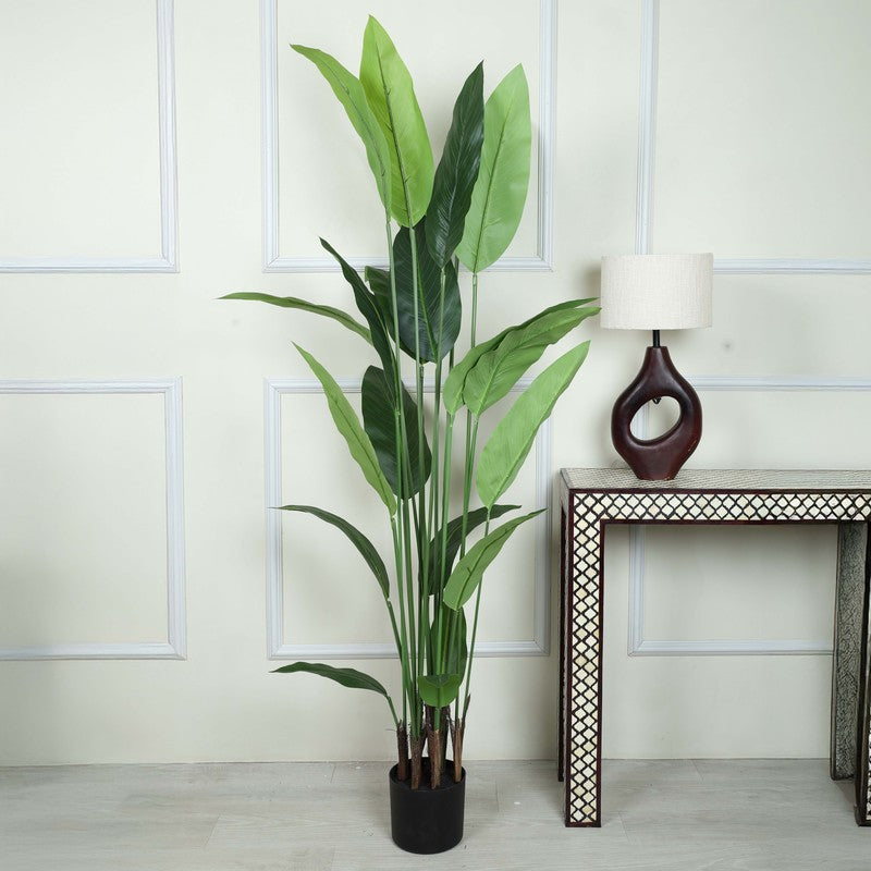 Artificial Strelitzia Plant With Black Fiber Pot - 5.2 Feet media 3