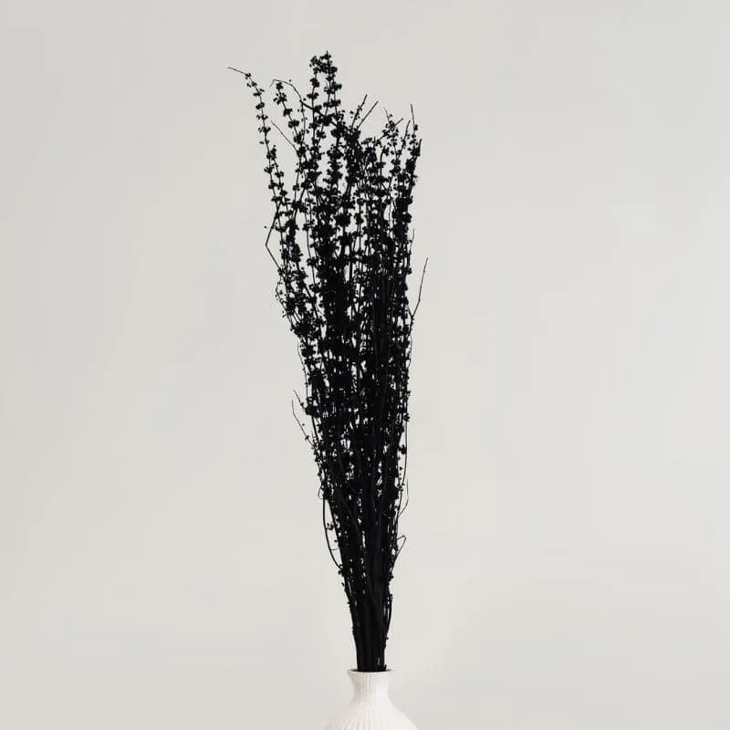 Plato Millet Grass Dried Palm Grass Bunch - Black media 1