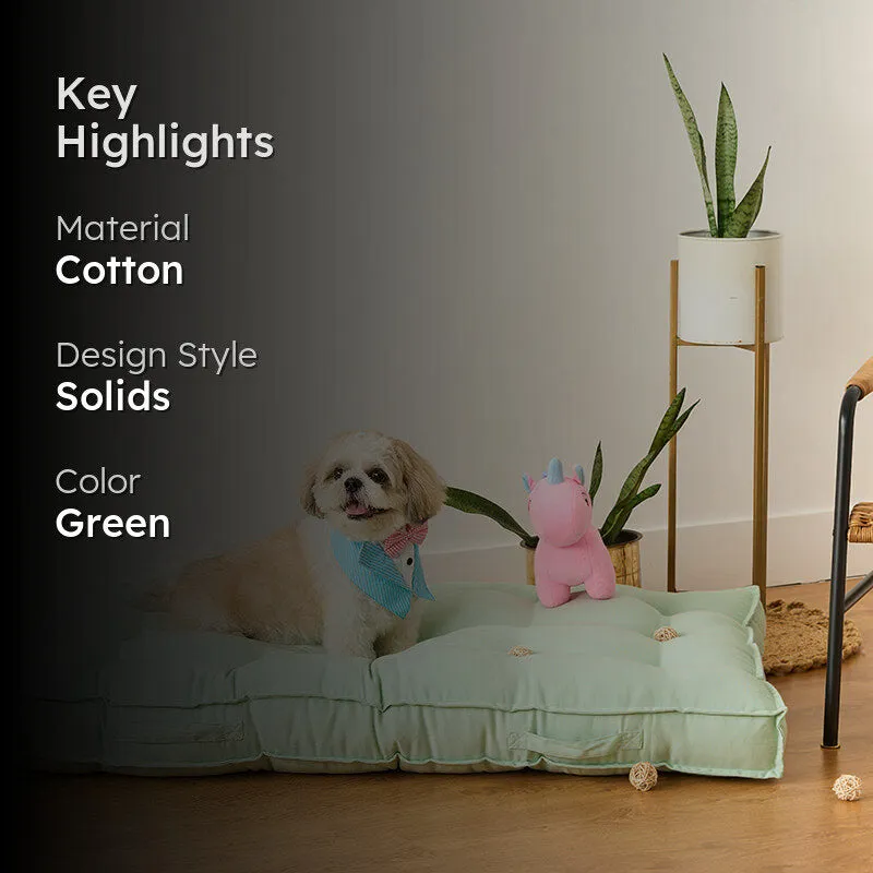 Pawdium Solid Cotton Floor Cushion - Sage Green media 2
