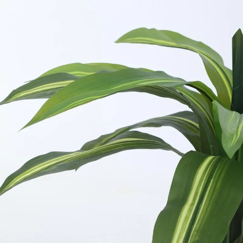 Faux Dracaena Plant With Black Plastic Pot - 2.13 ft media 5