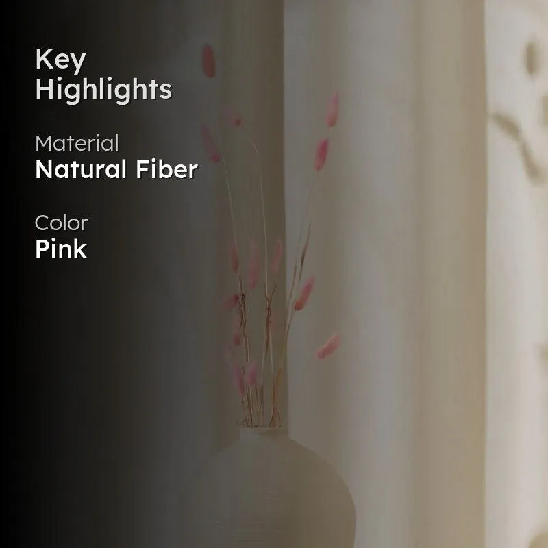 Bunny Tail Ornamental Grass (60 cms) - Pink media 2