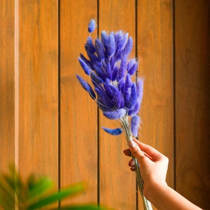 Naturally Dried Bunny Tail Stems (Blue) - Set Of Fifty media 1