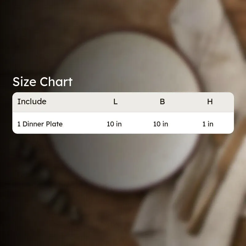 DishServe Ceramic Dinner Plate media 9