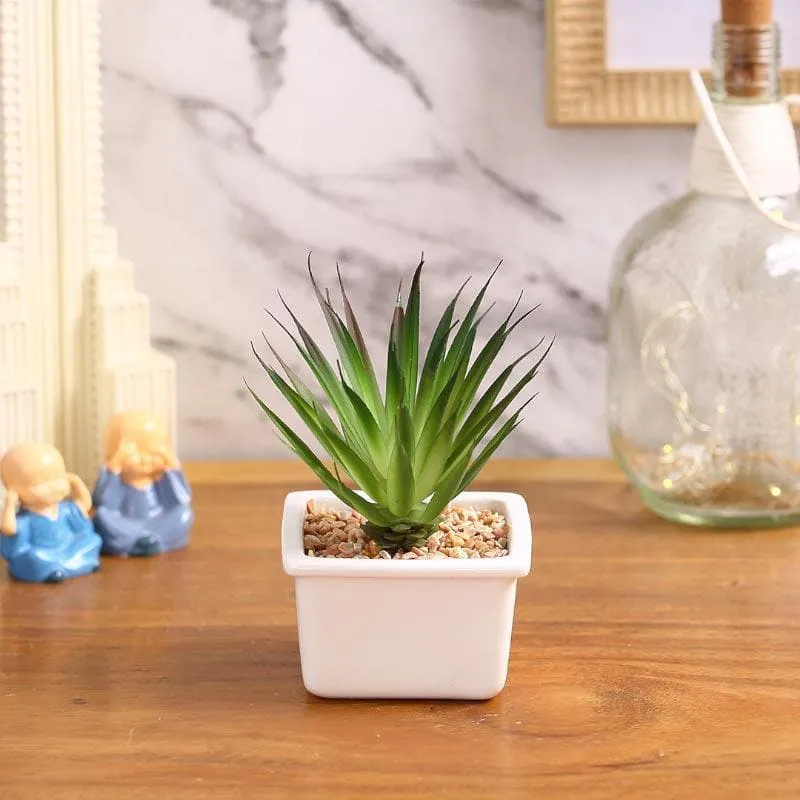 Faux Aloe Vera In White Pot - 13 cms media 1