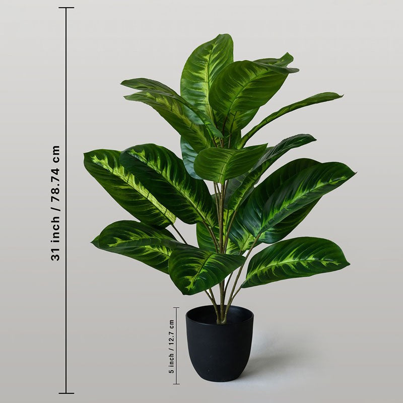 Faux Everlasting Fiddle Fig Plant With Pot - 79 cm (2.6 ft) media 4