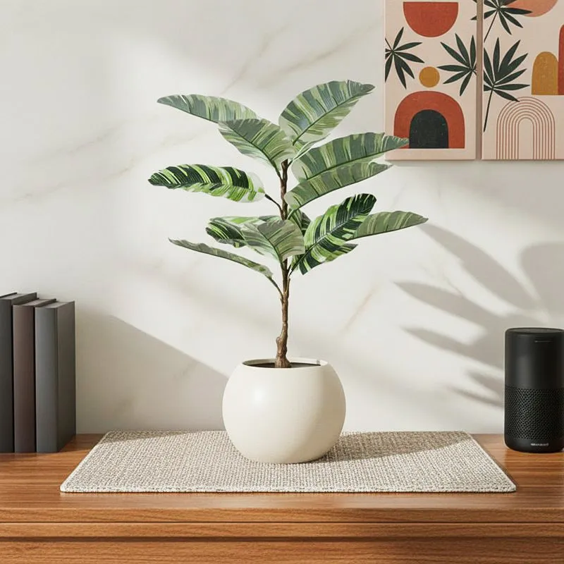 Erina Artificial White Banana Plant With Black Plastic Pot - 2.5 Feet media 1