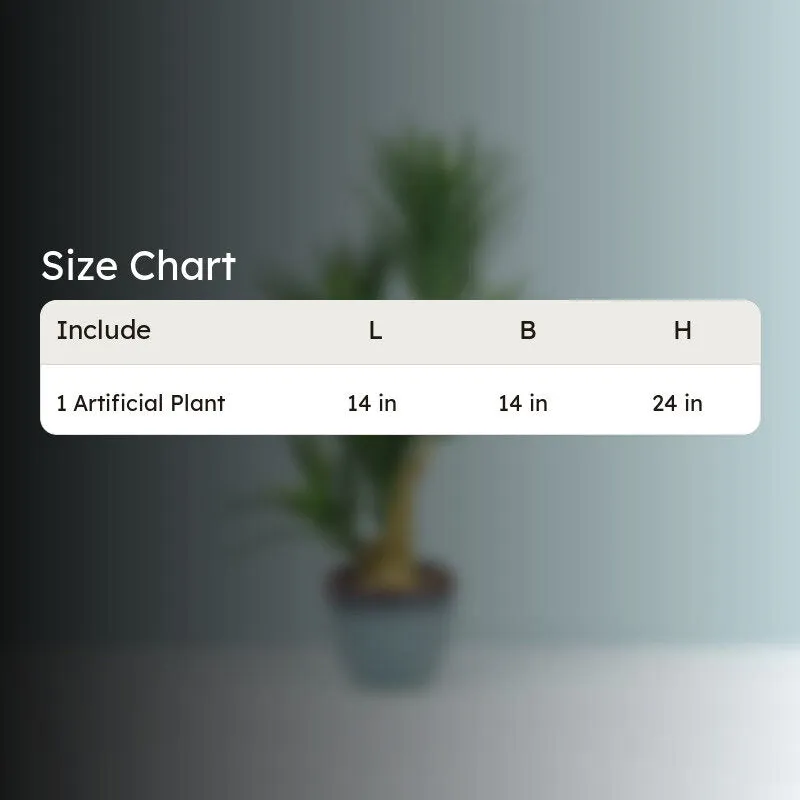 Faux Yucca Bonsai In Bowl Pot - 60 cms media 5