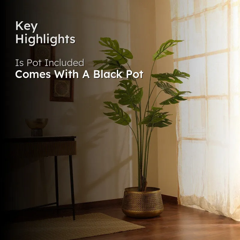 Artificial Monstera Plant With Black Plastic Pot - 6 ft media 2