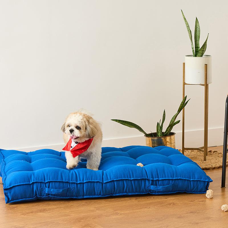 Pawdium Solid Cotton Floor Cushion - Blue