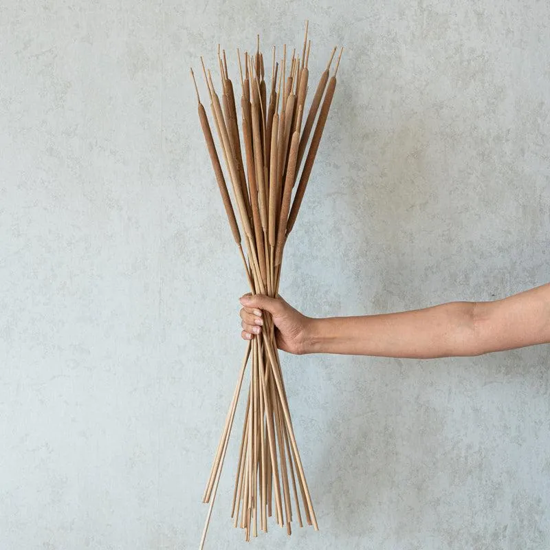 Naturally Dried Reed Spadaix - Set Of Twenty media 1