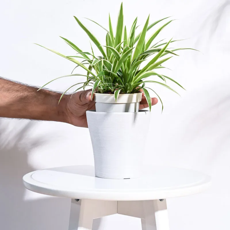 UGAOO Tivoli Planter for Home & Balcony Garden- White media 5