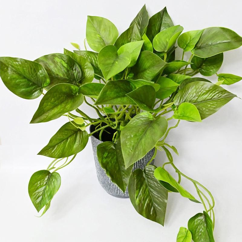 Pothera Artificial Pothos Plant With Black Plastic Pot - 40 cm media 4