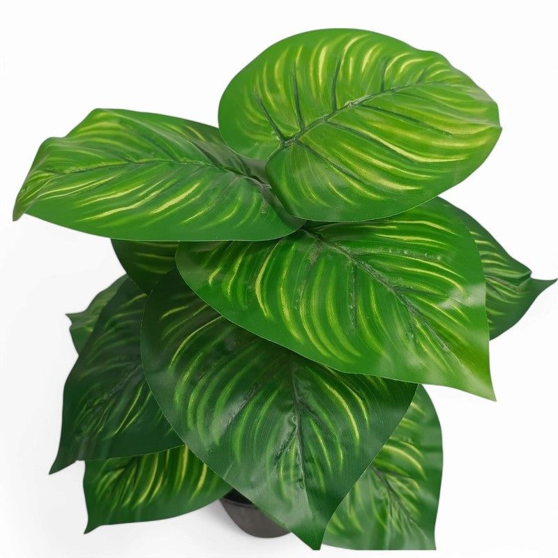 Boty Artificial Calathea Plant With Black Plastic Pot - 1.5 Feet media 5