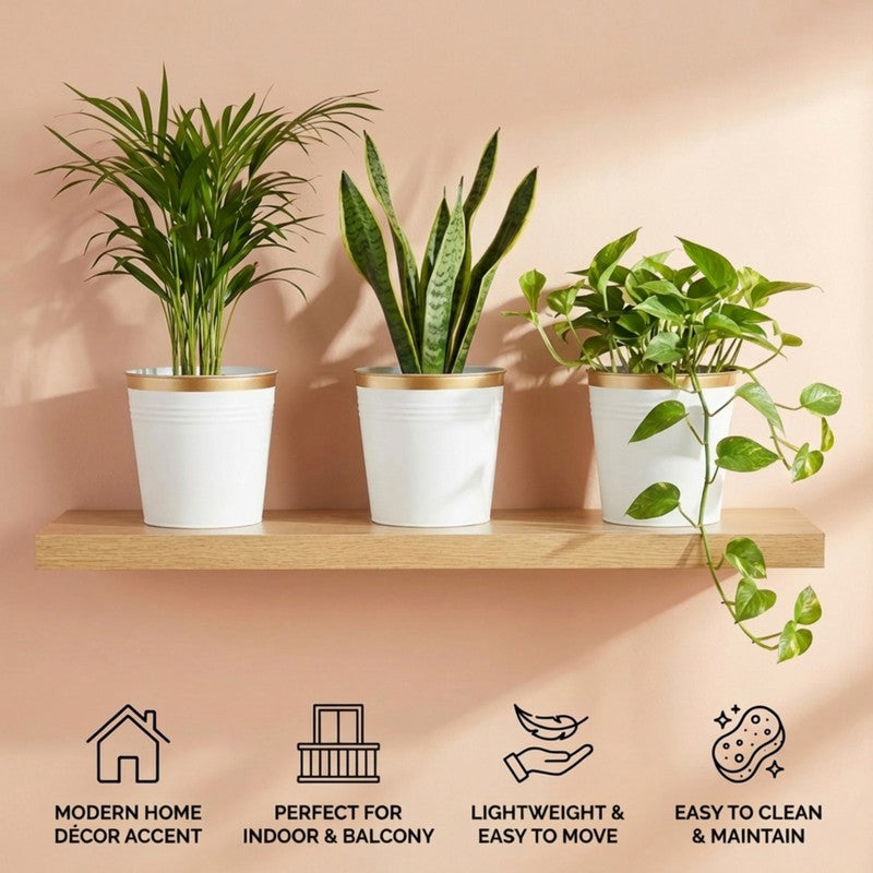 Leafora Iron Planter (White) - Set Of Three media 9