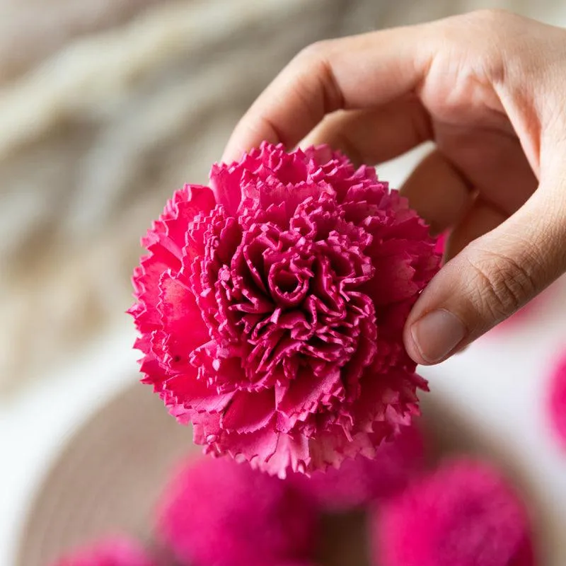 Berta Carnation Sola Flower (Pink) - Set Of Ten media 4