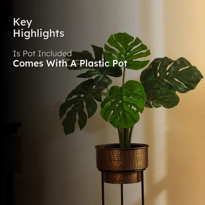 Artificial Realistic Monstera Plant in Black Plastic Pot media 2