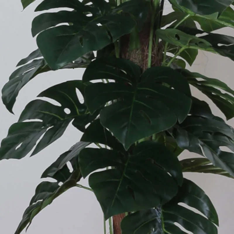 Faux Pola Monstera Plant With Black Plastic Pot - 2.95 ft media 4