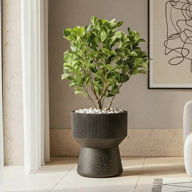 Black pedestal planter holding a leafy plant beside framed wall art.