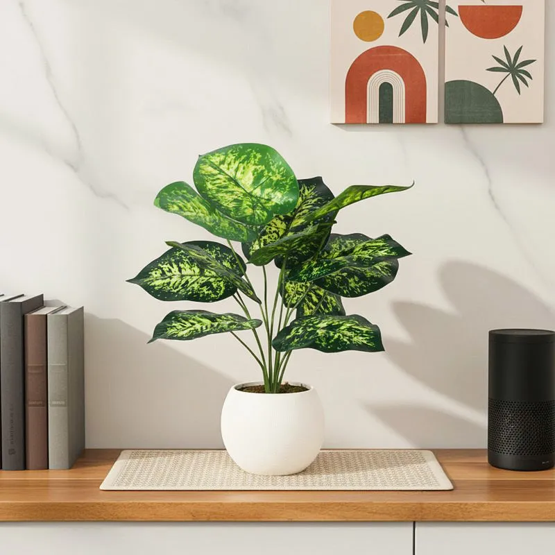 Faux Lush Dieffenbachia Plant With Black Plastic Pot - 1.8 Feet media 1