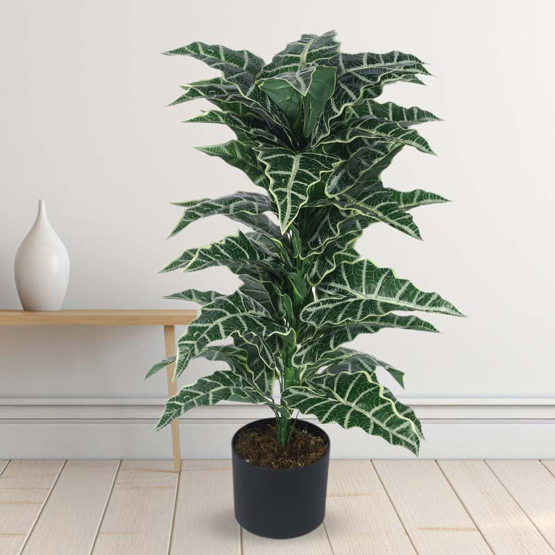 Faux Lush Happy Philo Plant With Black Plastic Pot - 2.8 Feet media 3