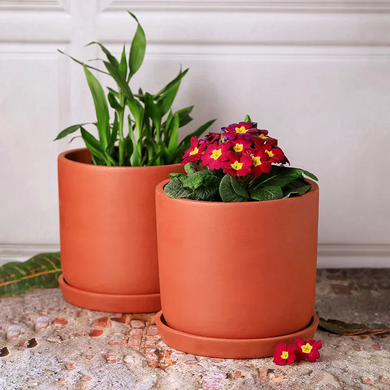 Lark Terracotta Planter - Set Of Two media 2