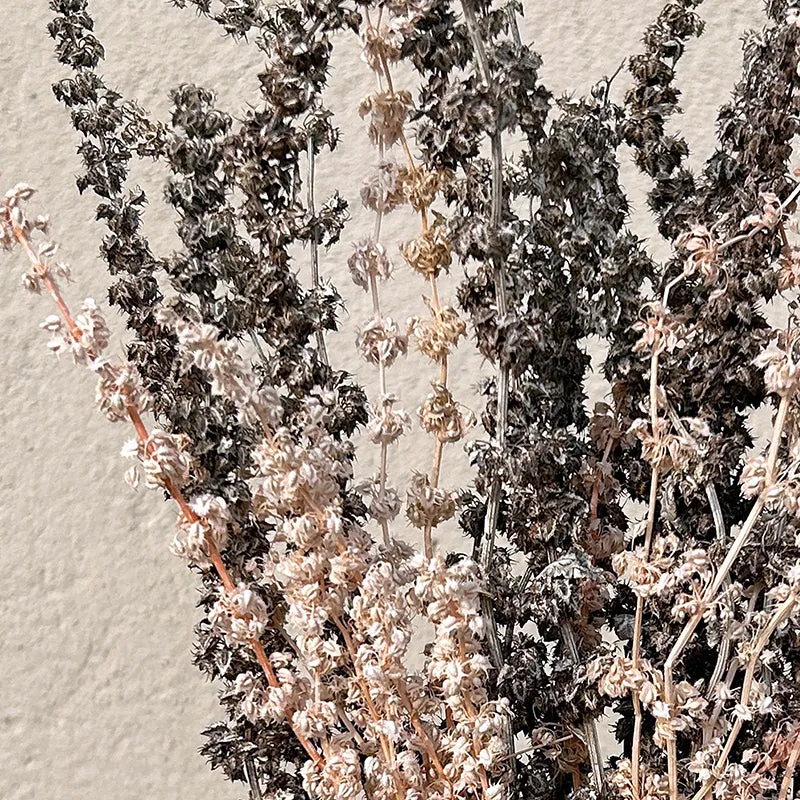 Prairie Pulse Dried Bunch media 6