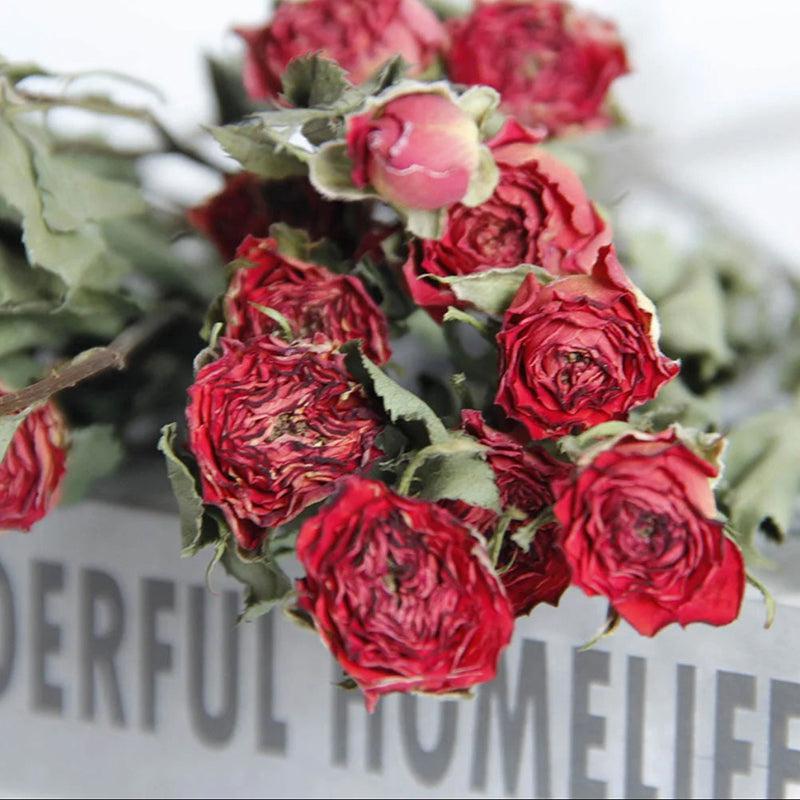 Dried Red Rose Flower Bunch - Set Of Twenty media 5