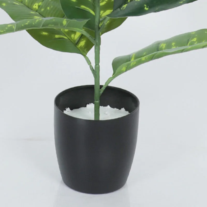 Tropikal Artificial Dieffenbachia Plant With Black Plastic Pot - 2.6 Feet media 4