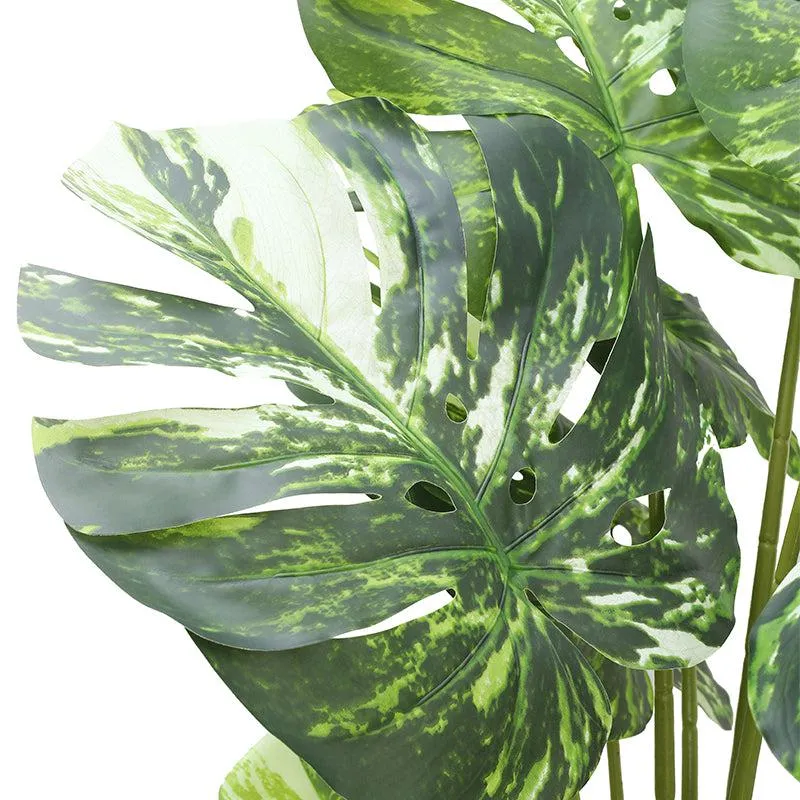 Greenius Artificial Monstera With Black Plastic Pot - 5.6 Feet media 6