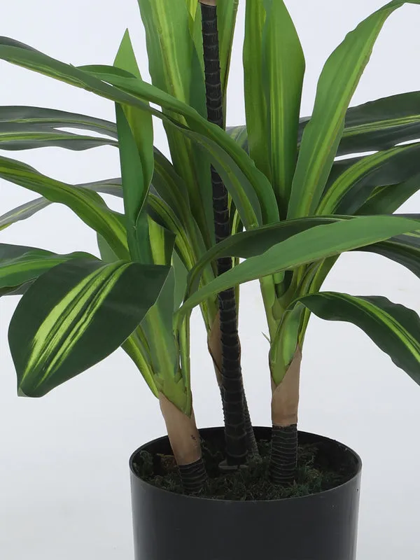Faux Dracaena Limelight Plant With Black Plastic Pot - 2.95 ft media 5