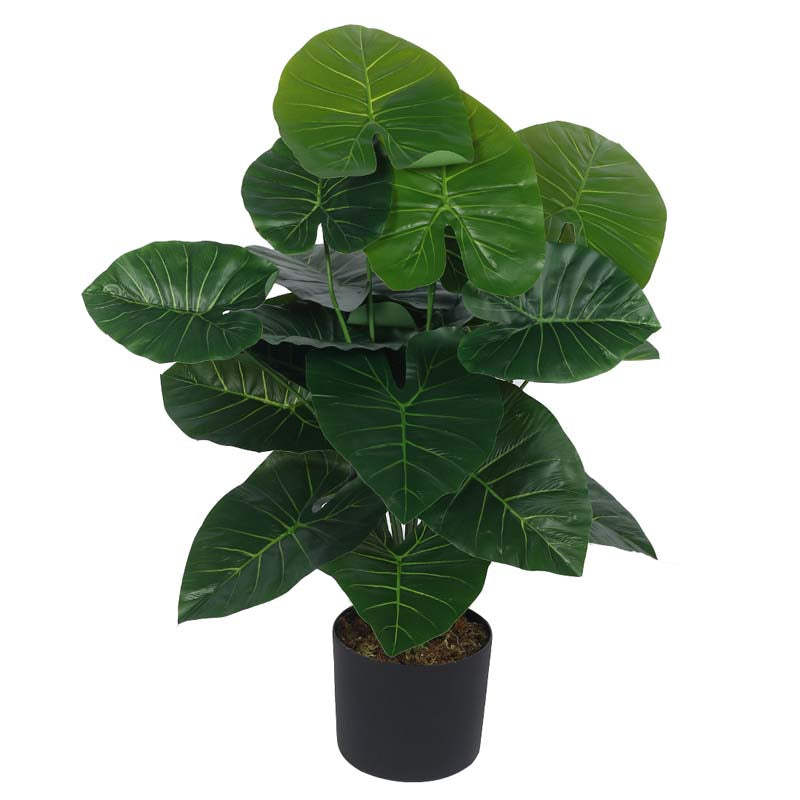 Faux Lush Rubber Fig Plant With Black Plastic Pot - 2.6 Feet media 4