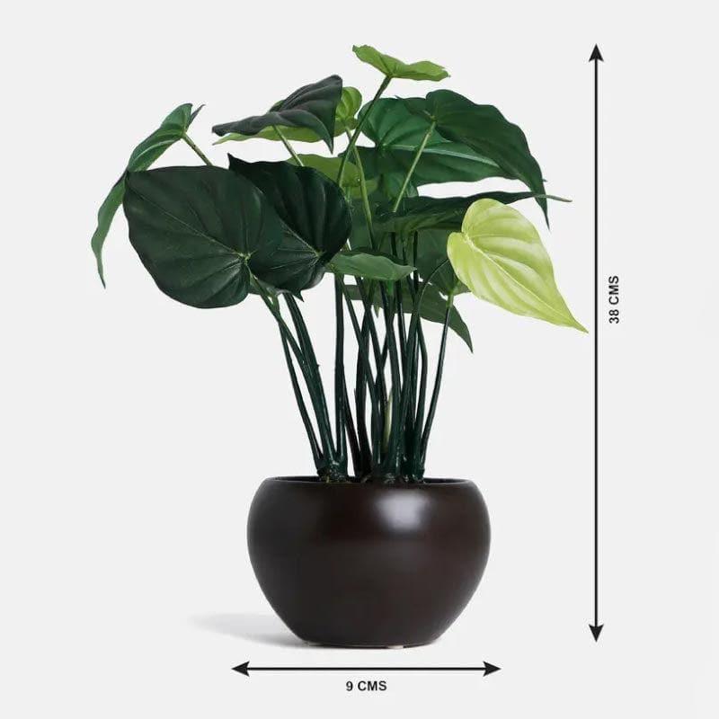Faux Alocasia Bonsai In Bowl Pot - 37 cms media 4